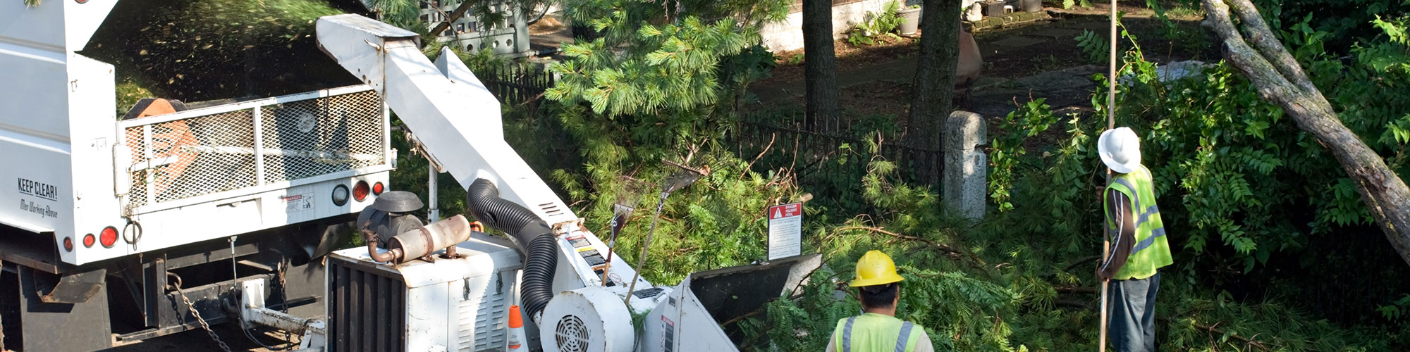 Arborist Carrollton, Texas