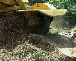 Carrollton Stump Grinding